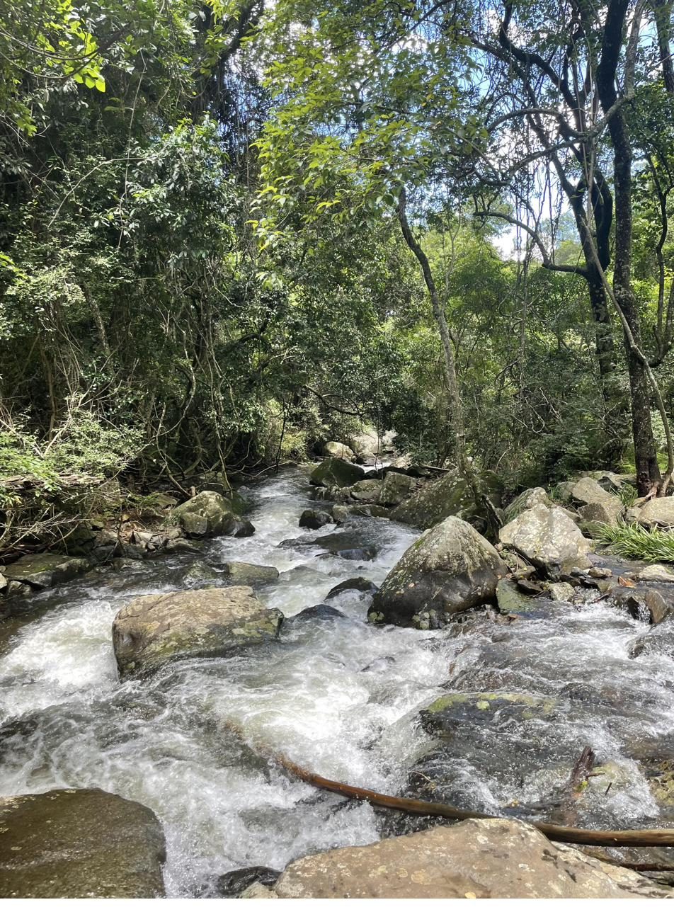 A clean, flowing river in nature